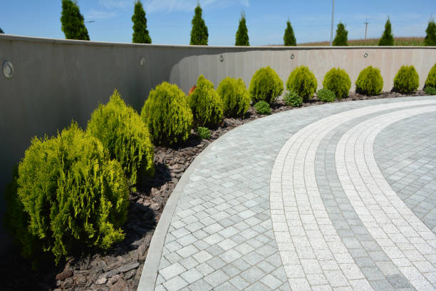 Driveway Repair Near Me in University Park, IL