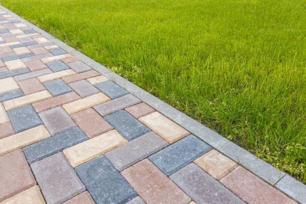 Best Driveway Paving Contractor  in University Park, IL